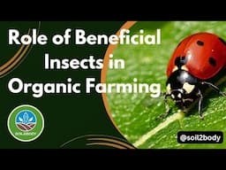 Role of Beneficial Insects in Organic Farming | Organic Crop Management.