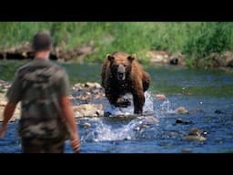 Hunters Attacked by Animals Compilation  - lion, bear, deer, elephant