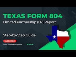 Texas Form 804 (Periodic Report for Limited Partnerships) - Step-by-Step Guide