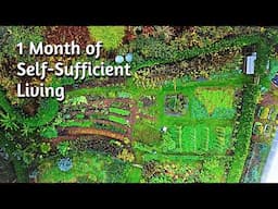 Self-Sufficient Garden UK - A Productive Permaculture Paradise - Vlog 28