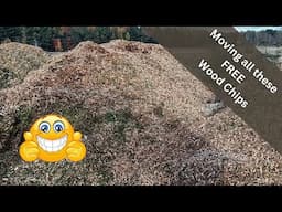 What were doing with our free woodchips!