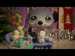 Littlest Pet Shop: Adventní soutěž #4 (UZAVŘENO)