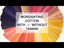 Mordanting Cotton With vs Without Tannin