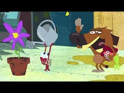 Zig & Sharko | Bad night for Zig (SEASON 2) BEST CARTOON COLLECTION | New Episodes in HD