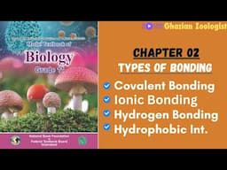 Different Types of Bond and Interactions found in Biomolecules | Class 11| Federal board 2024