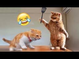 Try Not To Laugh 😁 New Funny Cats and Dogs Videos 😹🐶 Part 19