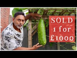 Sold My Garden Harvest To Help People In Bangladesh | Organic Gardening