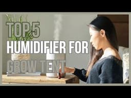 Best Humidifier For Grow Tent That's Revolutionizing Grow Tents Everywhere.