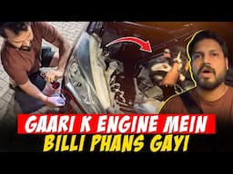 GAARI K engine mein Billi Phans gayi