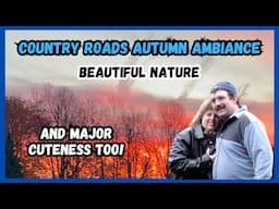 Country Roads Autumn Ambiance | Beautiful Nature, Relaxing Music and Major Cuteness Too!