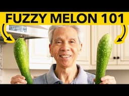 😊  How a Chinese Chef cooks with Fuzzy Melon! (節瓜粉絲蝦煲)