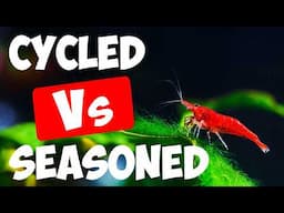 Cycling v Seasoning - What's The Difference?🦐