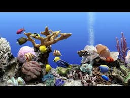 Marine Aquarium Calming Fish Tank | Only Water Sounds For Relaxation and Focus | 4 Hours