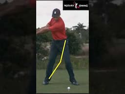 What Are These Two Yellow Lines In Tiger Woods Swing?