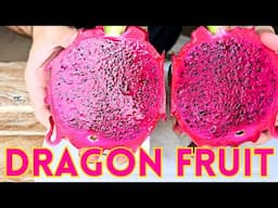 Trying Dragon Fruit For the First Time in Bali, Indonesia