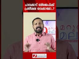 പാലക്കാട് ബിജെപിക്ക് പ്രതീക്ഷ വെക്കാമോ..? | Palakkad | BJP