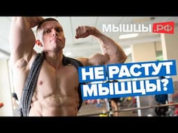 Не Растут Мышцы? Сдай Анализы! Илья Баскин