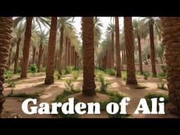 Garden of Imam Musa Kazim | Madina Ziyarat | Usman Tahir Jappa