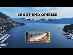 Lake Pend Oreille Kokanee and Kamloops