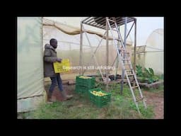 How AI is Helping to Protect the World’s Crops | AlphaFold Impact Stories