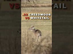 .22 CREEDMOOR VS WHITETAIL