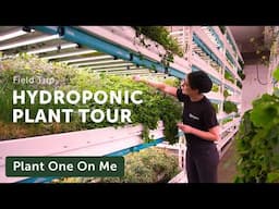 HYDROPONIC FARM Tour with Farm.One — Ep. 393