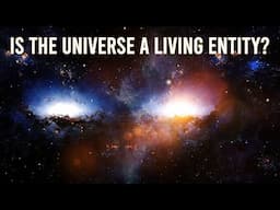 Universal Brain - Is the Universe a Living Entity?