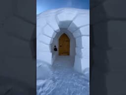 Spending the night in an igloo ❄️😍 #igloo #winter #switzerland #zermatt #dog #travel