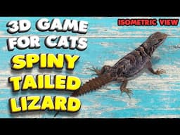 3D game for cats | The spiny-tailed LIZARD (isometric view) | 4K, 60 fps, stereo sound