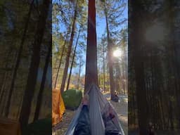 POV: The Camping Trip Finally Made it out of the Group Chat 🏕️🪵 #shorts #camping #upstatenewyork