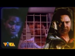 The Best of VIVA ACTION #153 | Films Starring Robin Padilla, Raymart Santiago, Ace Espinosa