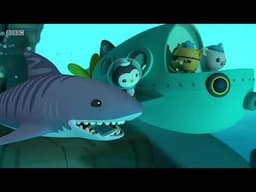 Octonauts, Series 4, Octonauts and the Tiger Shark