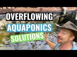 Aquaponics System Maintenance- saving Fish when Grow Beds Overflow