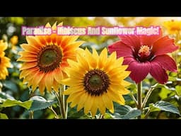 Paradise Found: Sunflowers & Hibiscus Unveiled