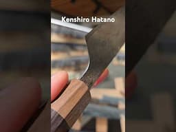 Kenshiro Hatano SG2 Damascus.  Pretty thin blades from Echizen.