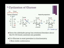 075-Cyclization of Sugars