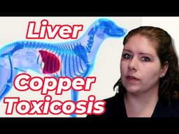 Liver Copper Toxicosis in Pets | Vet’s Voice