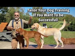 How We Tailor Our Dog & Puppy Training To Help Dogs Realize Their Full Potential! | Seven Examples