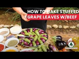 How to make Lebanese stuffed grape leaves, squash and eggplant.