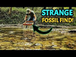 BUCKET LIST FOSSIL FOUND! My Dream Came True in this Alabama Creek Full of Dinosaur-Aged Fossils!