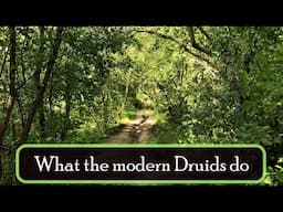 What do the modern Druids do?