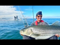 I Got the BIG Bite I Was Hoping For!!! Kayak Fishing for Striped Bass!