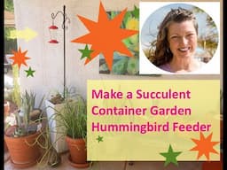 Make a Succulent Container Garden Hummingbird Feeder