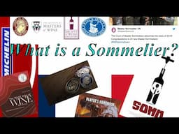 What is a Sommelier? Deep Diving into the Wine Business