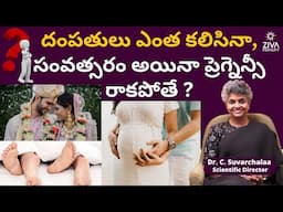 దంపతులు ఎంత కలిసినా ప్రెగ్నెన్సీ రాకపోతే | When to See a Fertility Specialist | Dr Suvarchala | Ziva