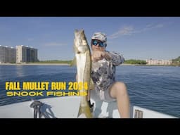 Fall Mullet Run in South Florida. Solid Snook Action on 17 Whaler.