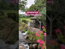 Geheimtipp in Baden-Württemberg 🌲 #schwarzwald #mühlenweg #edelfrauengabwasserfall