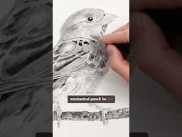 Draw a little bird with me