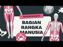 Sistem Rangka Manusia Beserta Fungsinya #sistemtubuh #rangkamanusia #fungsirangka #rangka #fungsi