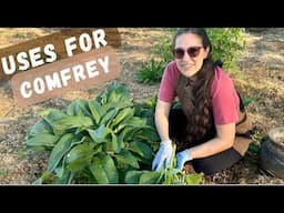 THREE Ways To Use Comfrey In The Garden